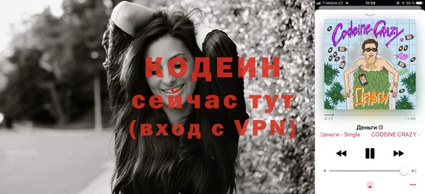индика Рославль