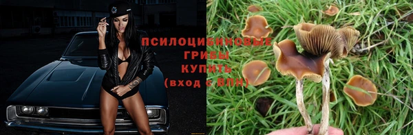 трава Абинск