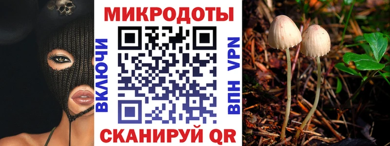 Псилоцибиновые грибы Psilocybine cubensis Алагир